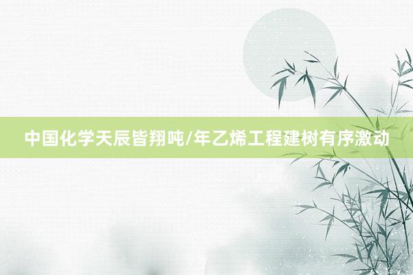 中国化学天辰皆翔吨/年乙烯工程建树有序激动